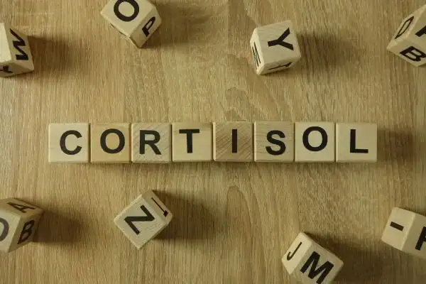 The Hidden Connection: How Stress Shapes Your Fitness and Body Composition 2 Image saying "Cortisol" and how stress West Bromwich impacts your wellbeing and bodies shape